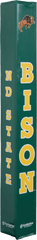Goalsetter Basketball - Collegiate Basketball Pole Pad - North Dakota State Bison (Green)