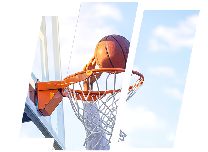 basketball net